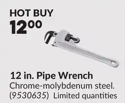 Princess Auto 12 in. Pipe Wrench offer