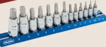Princess Auto 13 pc Bit Socket Sets offer