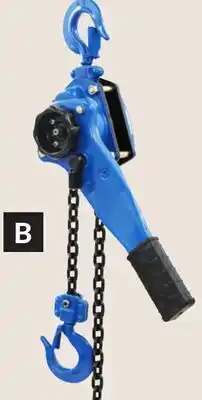 Princess Auto Lever Chain Hoists offer