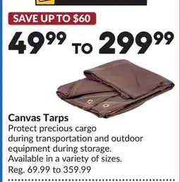 Princess Auto Canvas Tarps offer