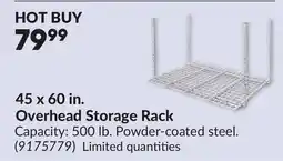 Princess Auto 45 x 60 in. Overhead Storage Rack offer