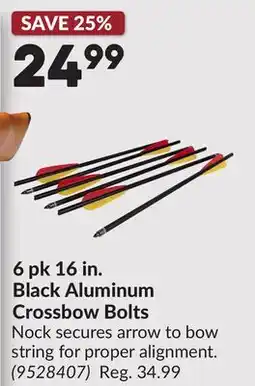 Princess Auto 6 pk 16 in. Black Aluminum Crossbow Bolts offer