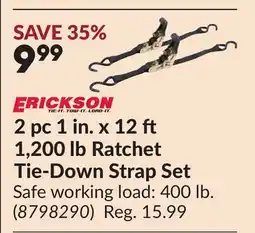 Princess Auto 2 pc 1 in. x 12 1,200 lb Ratchet Tie-Down Strap Set offer