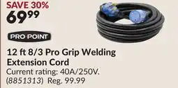 Princess Auto 12 ft8/3 Pro Grip Welding Extension Cord offer