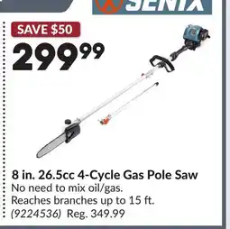 Princess Auto 8 in. 26.5cc 4-Cycle Gas Pole Saw offer