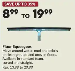Princess Auto Floor Squeegees offer