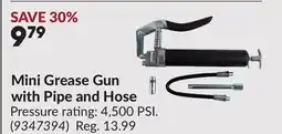 Princess Auto Mini Grease Gun with Pipe and Hose offer