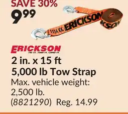Princess Auto 2 in. x 15 5,000 lb Tow Strap offer