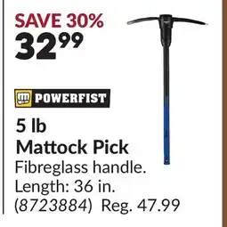 Princess Auto 5 lb Mattock Pick offer