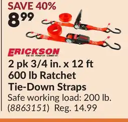 Princess Auto 600 lb Ratchet Tie-Down Straps offer