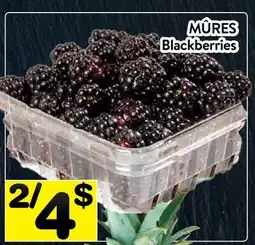 Supermarché PA MÛRES | Blackberries offer