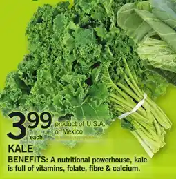 Loblaws Kale offer