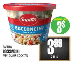 Marches Tau BOCCONCINI SAPUTO offer