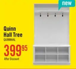 The Brick Quinn 39.75 Hall Tree with Shoe Storage - Matte White offer
