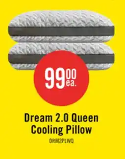 The Brick Masterguard Dream 2.0 Cooling Queen Pillow offer