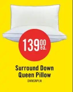 The Brick Masterguard Surround Down Queen Pillow offer