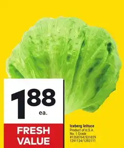 Giant Tiger Iceberg lettuce offer
