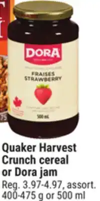 Giant Tiger Dora jam offer