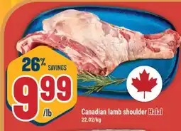 Marché Adonis Canadian lamb shoulder Halal offer