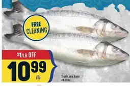 Marché Adonis Fresh sea bass offer