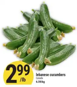 Marché Adonis lebanese cucumbers offer