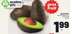 Metro AVOCAT HASS | HASS AVOCADO offer