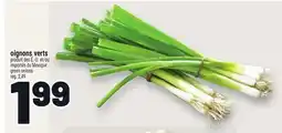 Metro OIGNONS VERTS | GREEN ONIONS offer