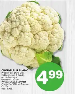 Marches Tradition WHITE CAULIFLOWER offer