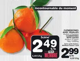 Marches Tradition CLEMENTINES WITH LEAVES offer