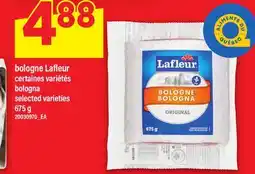 Maxi BOLOGNE LAFLEUR | BOLOGNA offer