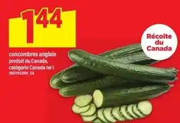 Maxi CONCOMBRES ANGLAIS offer