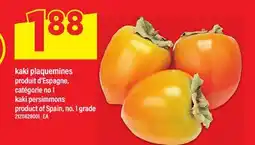 Maxi KAKI PLAQUEMINES | KAKI PERSIMMONS offer