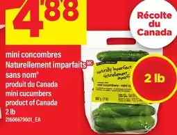 Maxi MINI CONCOMBRES NATURELLEMENT IMPARFAITS SANS NOM | MINI CUCUMBERS, 2 LB offer