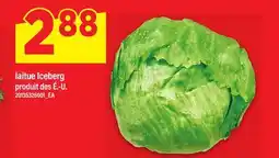 Maxi LAITUE ICEBERG offer