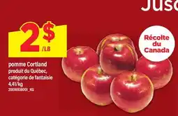 Maxi POMME CORTLAND offer