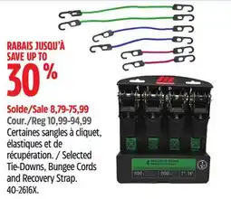 Canadian Tire Motomaster Selected Tie-Downs, Bungee Cords and Recovery Strap offer