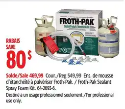 Canadian Tire Froth-Pak Sealant Spray Foam Kit offer