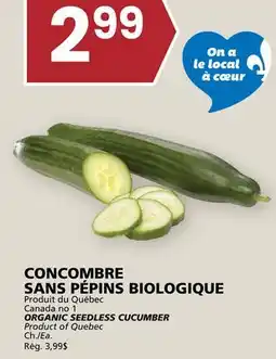 Rachelle-Bery Grocery ORGANIC SEEDLESS CUCUMBER offer