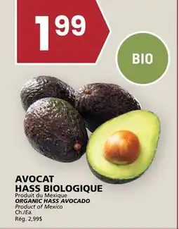 Rachelle-Bery Grocery ORGANIC HASS AVOCADO offer