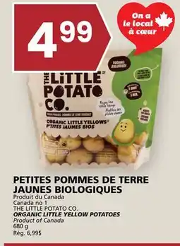 Rachelle-Bery Grocery THE LITTLE POTATO CO. ORGANIC LITTLE YELLOW POTATOES offer