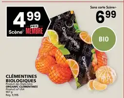 Rachelle-Bery Grocery ORGANIC CLEMENTINES offer