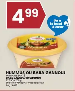 Rachelle-Bery Grocery FONTAINE SANTÉ BABA GANNOUJ OR HUMMUS offer