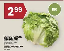 Rachelle-Bery Grocery ORGANIC ICEBERG LETTUCE offer