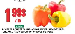 Marches Tau PIMENTS ROUGES,JAUNES OU ORANGES BIOLOGIQUES offer