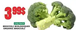 Marches Tau BROCCOLI BIOLOGIQUES offer
