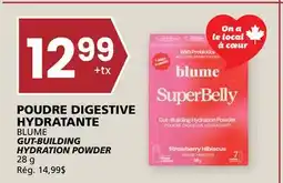 Rachelle-Bery Grocery POUDRE DIGESTIVE HYDRATANTE BLUME GUT-BUILDING HYDRATION POWDER offer