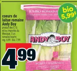 Super C coeurs de laitue romaine Andy Boy | romaine hearts offer