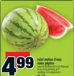 Super C mini melon d'eau sans pépins | seedless mini watermelon offer