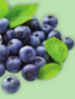 Giant Tiger 170 g blueberries offer