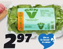 IGA GEN V GREENHOUSE BUTTER, CRISPY OR GREEN & RED SALANOVA LETTUCES offer